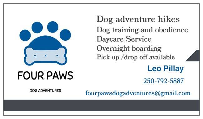 Four Paws Dog Adventures